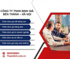 thamdinh.com.vn